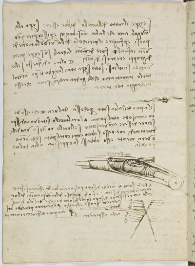 Vogelvluchtcode, c. 1505-06, blad 6 verso door Leonardo da Vinci